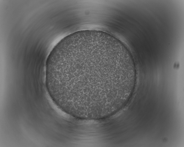 X0000111871079200909031810