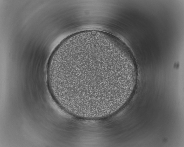 X0000111871082200909031809