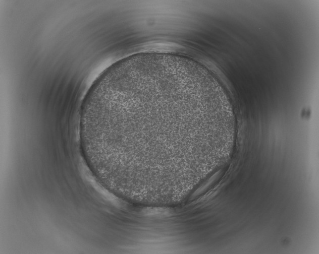 X0000111871083200909031809