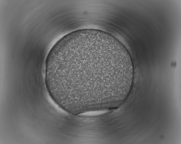 X0000111871084200909031809