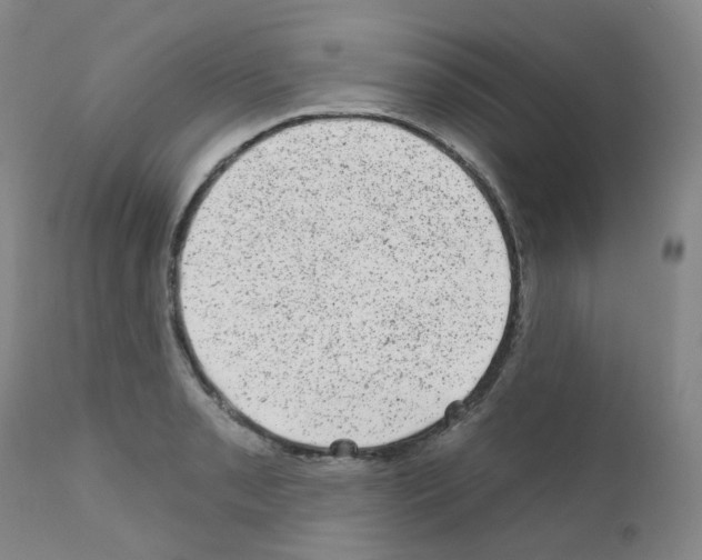 X0000111871085200909031809