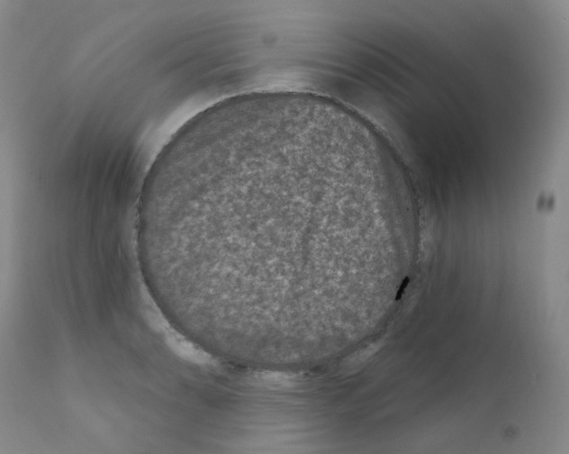 X0000111871086200909031809