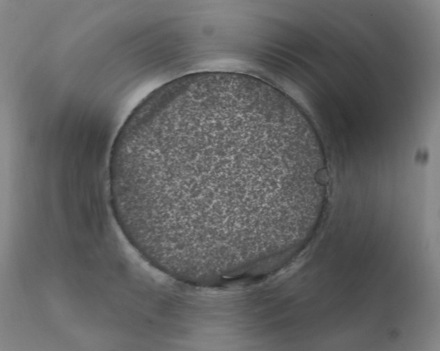 X0000111871087200909031809