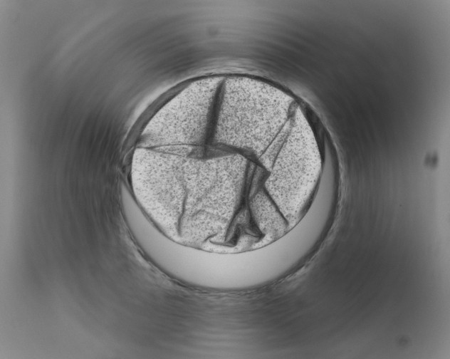 X0000111871089200909031809