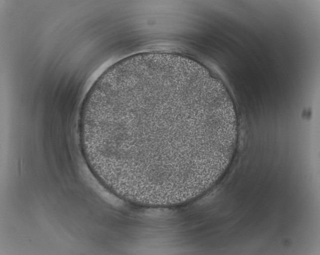 X0000111871091200909031809