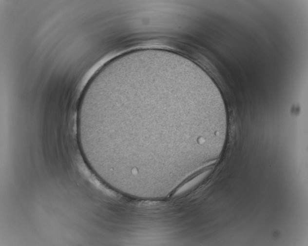 X0000111871092200909031809