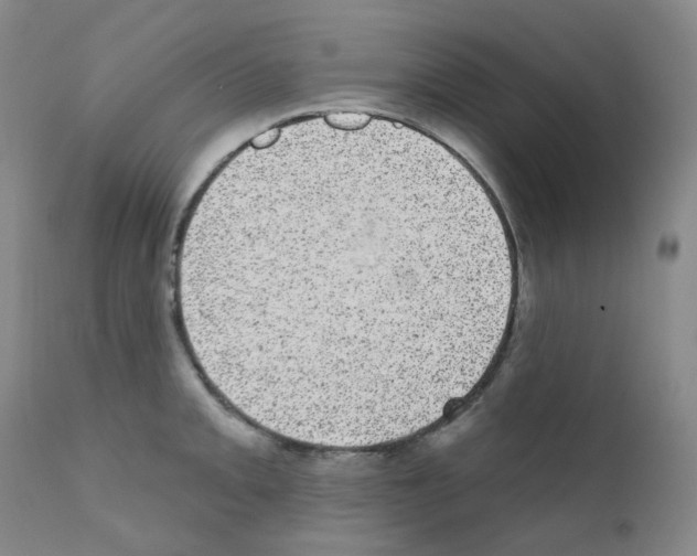 X0000111871093200909031809