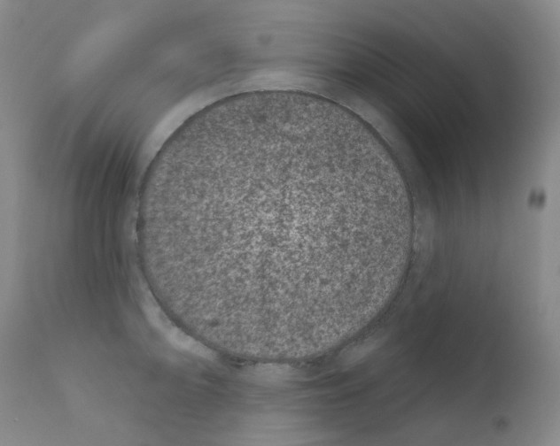 X0000111871094200909031809