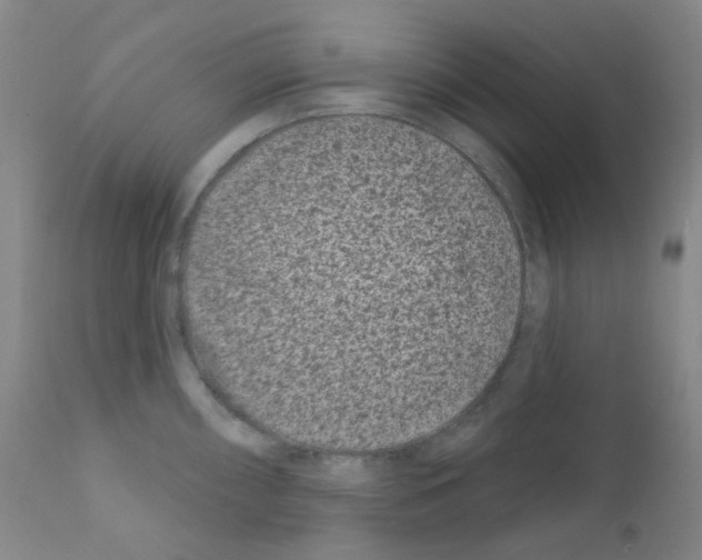 X0000111871098200909031809