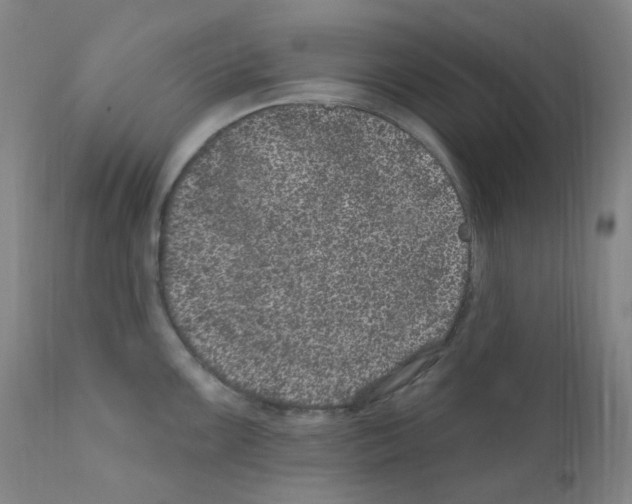 X0000111871099200909031809