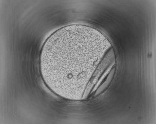 X0000111871100200909031809