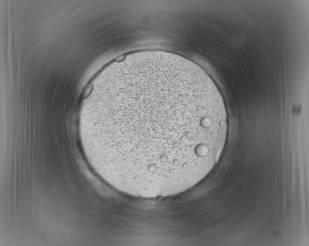 X0000111871101200909031809