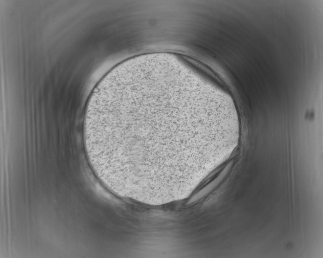 X0000111871102200909031809