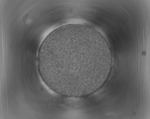 X0000111871103200909031809