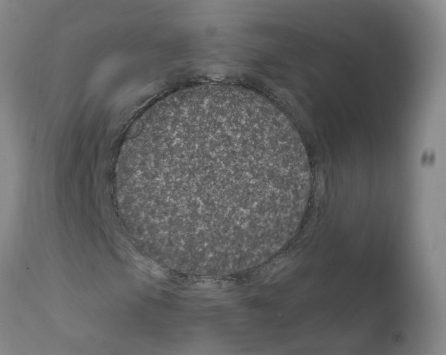 X0000111871105200909031808