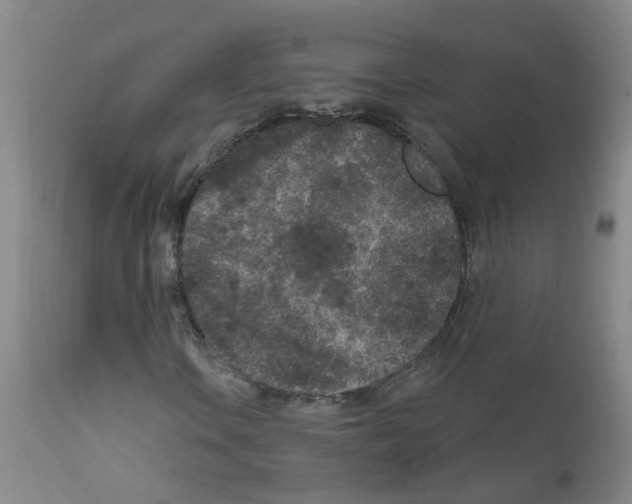 X0000111871106200909031808