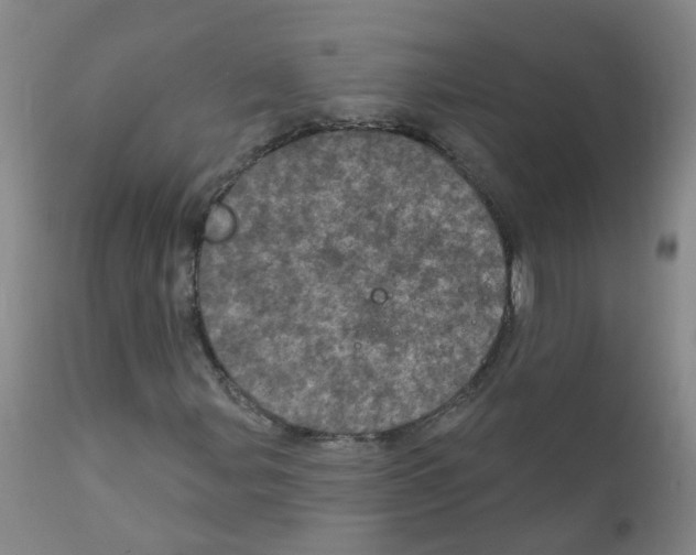 X0000111871107200909031808