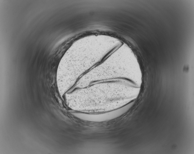 X0000111871112200909031809