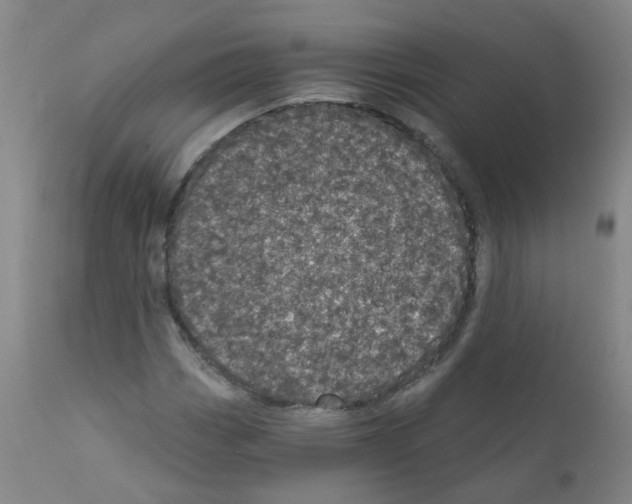 X0000111871113200909031809