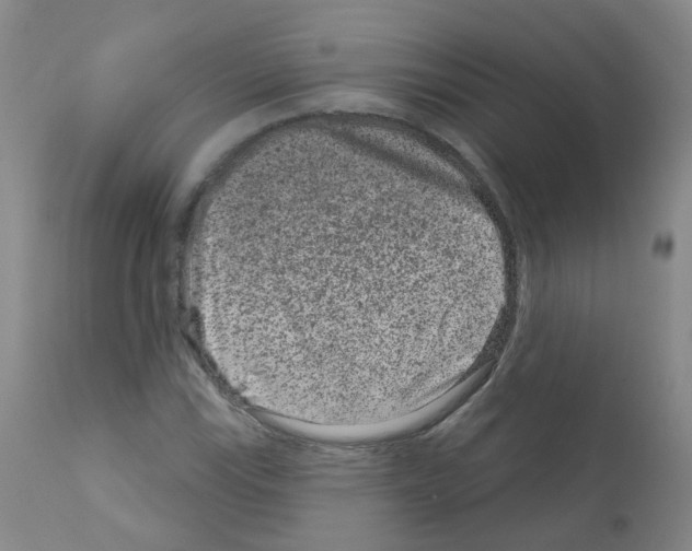 X0000111871115200909031809