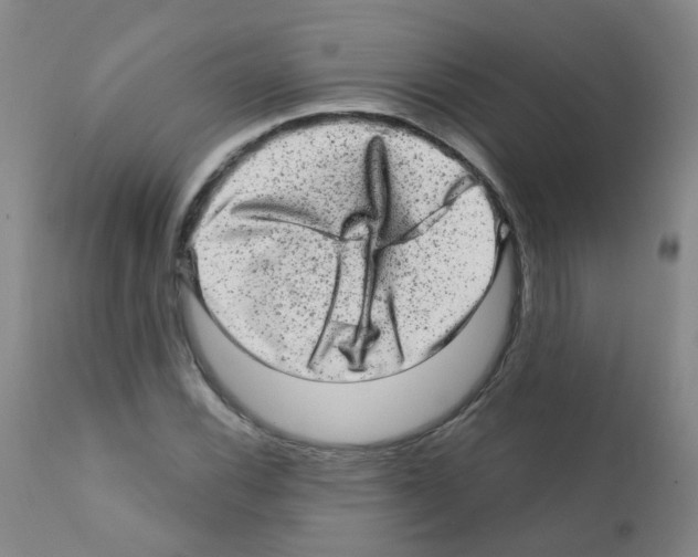 X0000111871116200909031809