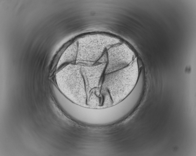 X0000111871118200909031809