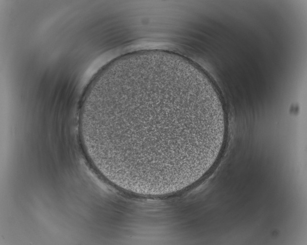 X0000111871119200909031809