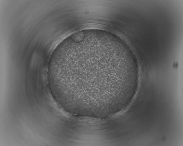 X0000111871121200909031809