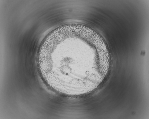 X0000111871125200909031809