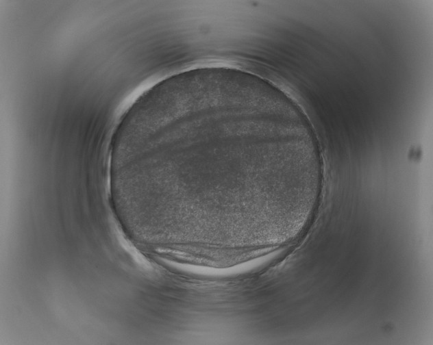 X0000111871127200909031809