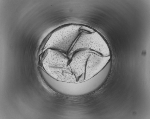 X0000111871128200909031809