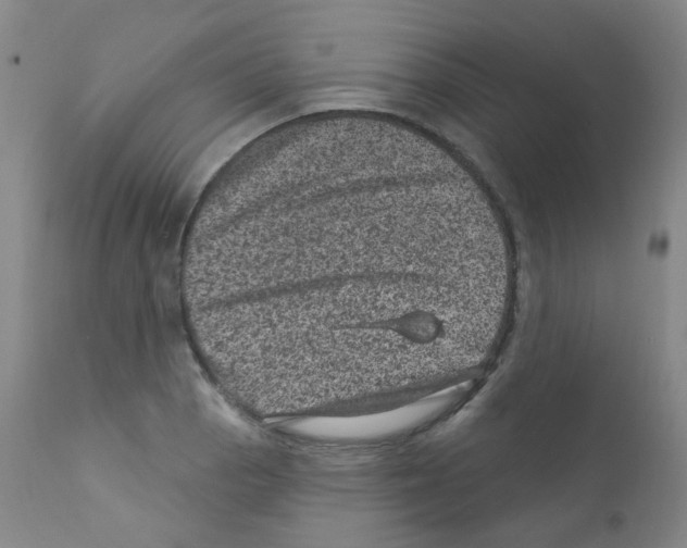 X0000111871129200909031809