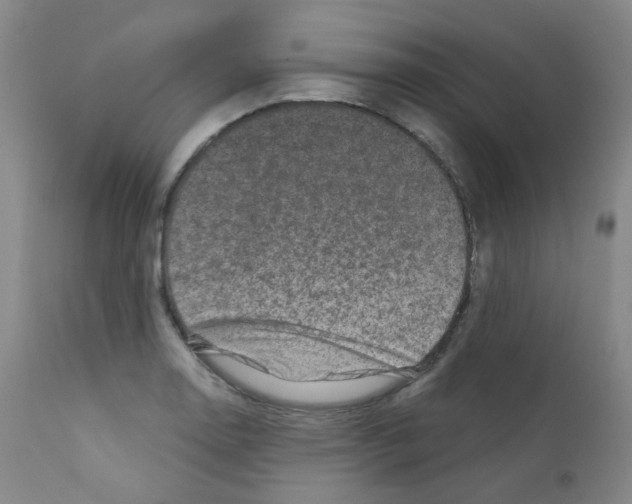 X0000111871130200909031809