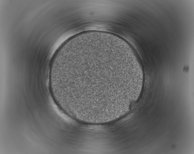 X0000111871131200909031809