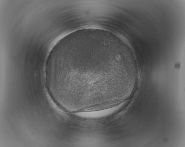 X0000111871133200909031809