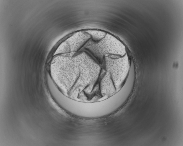 X0000111871134200909031809