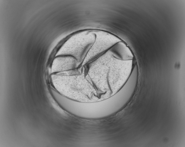 X0000111871136200909031809