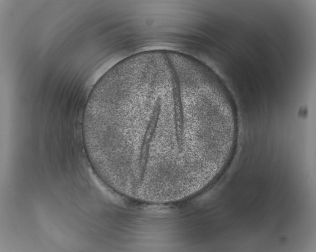 X0000111871137200909031809