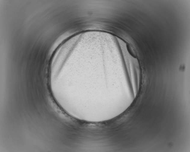 X0000111871138200909031809