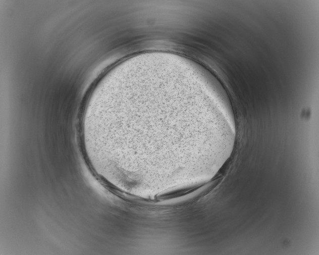 X0000111871139200909031809