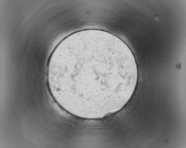 X0000111871140200909031809