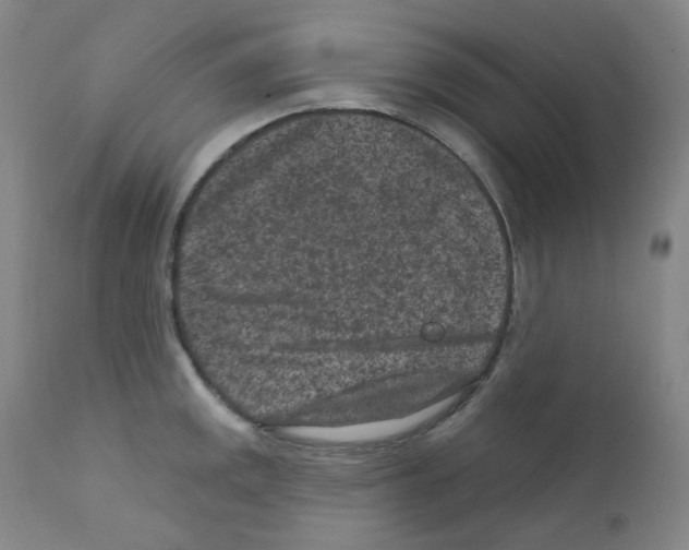 X0000111871141200909031809