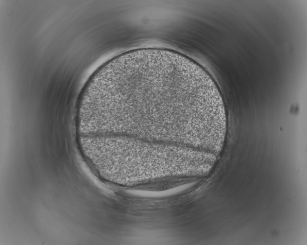 X0000111871142200909031809