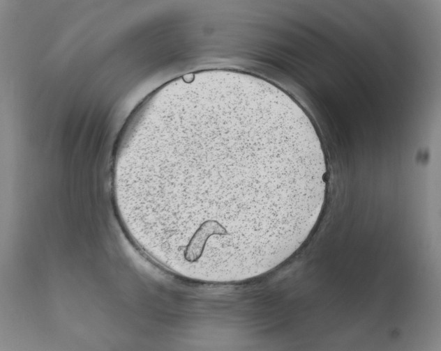 X0000111871143200909031809