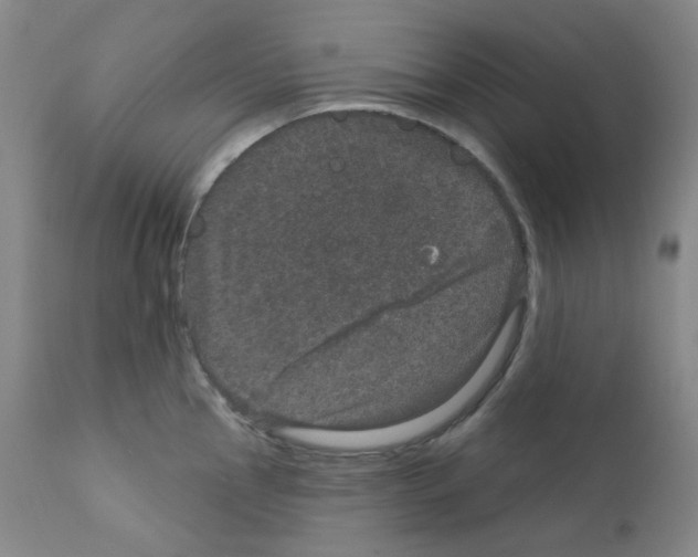 X0000111871145200909031809