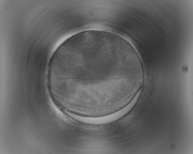 X0000111871147200909031809