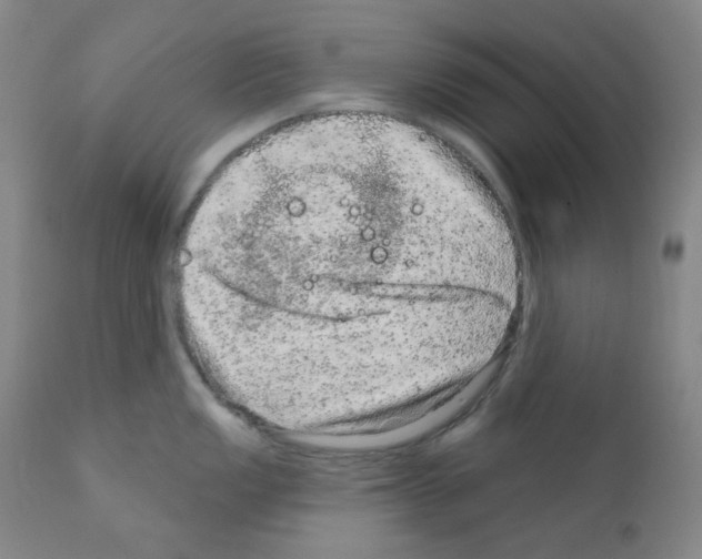 X0000111871149200909031809