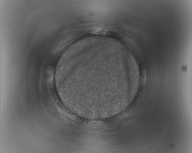 X0000111871154200909031808