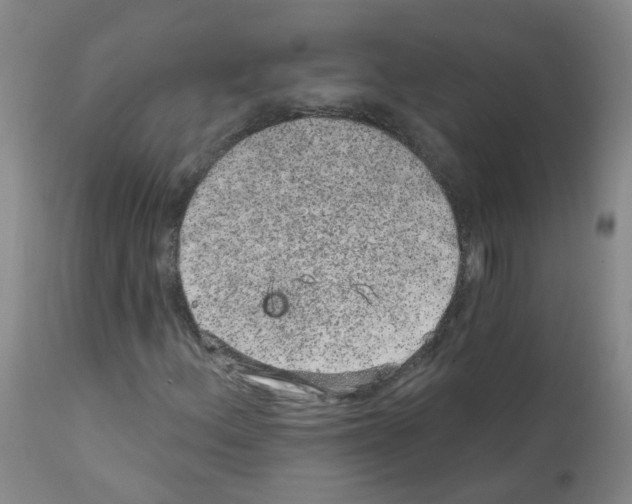 X0000111871156200909031808