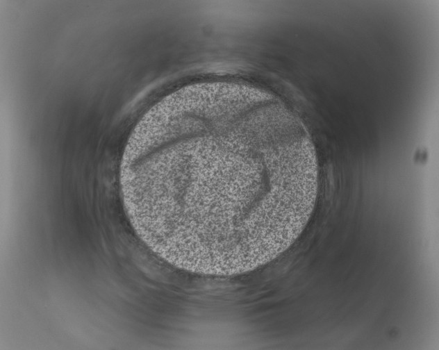 X0000111871158200909031808